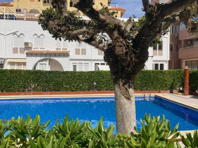 Casa Torrevieja La Mata Βίλα Εξωτερικό φωτογραφία